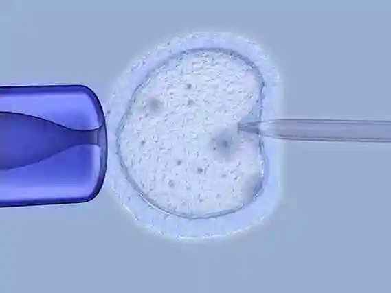 东莞当多元家庭拥抱新生命：解锁 “彩虹生子” 的温暖密码